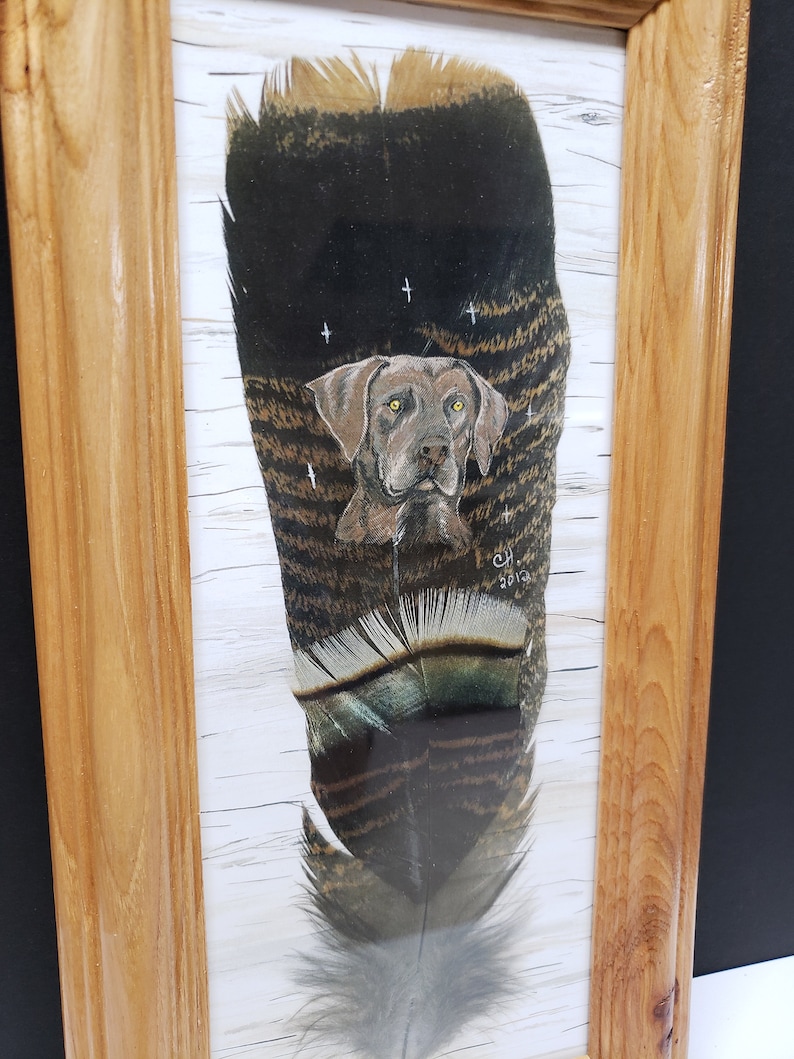 May include: A framed painting of a brown dog's head on a turkey feather. The feather is painted with brown, black, and white stripes. The dog's eyes are painted with white highlights. The painting is signed "CH 2013" in the bottom right corner.