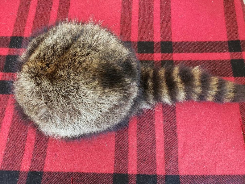 Raccoon Fur Hat - Davy Crockett Style image 1