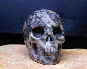2.0" Crinoid Fossil Hand-Carved Crystal Skull, Unique Fossil Decor