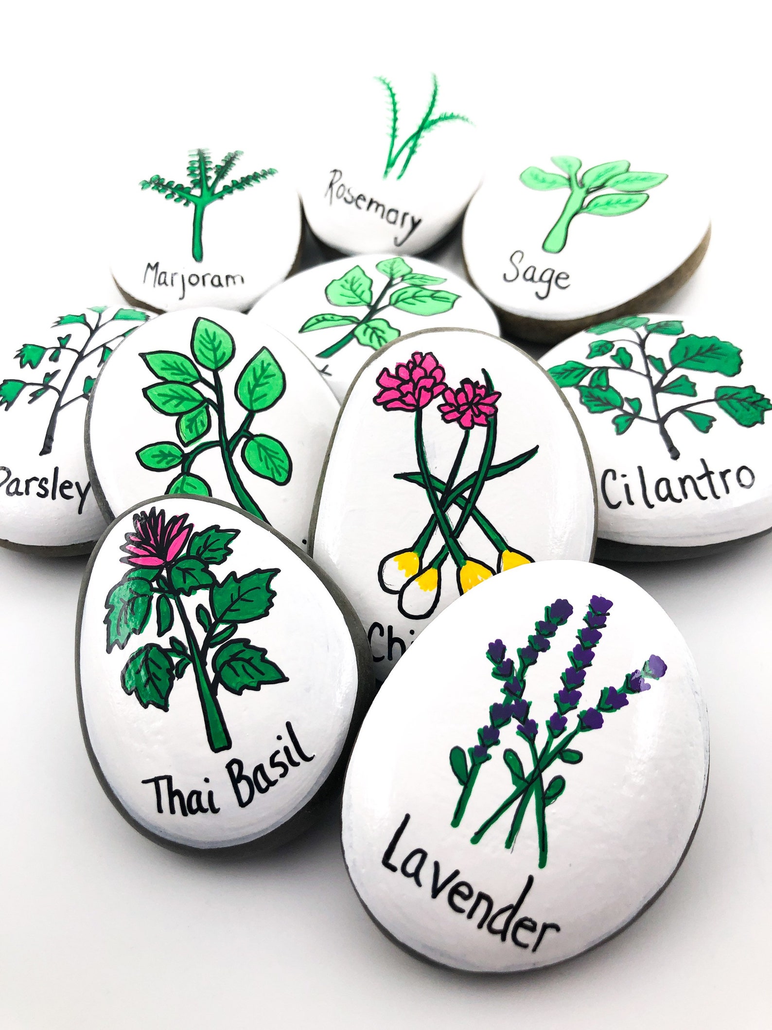 Herb Garden Stones Herbs Story Stones Garden Club Gift Etsy