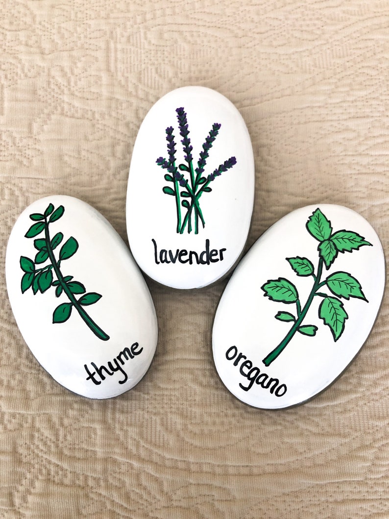 Herb Garden Stones Herbs Story Stones Garden Club Gift Etsy