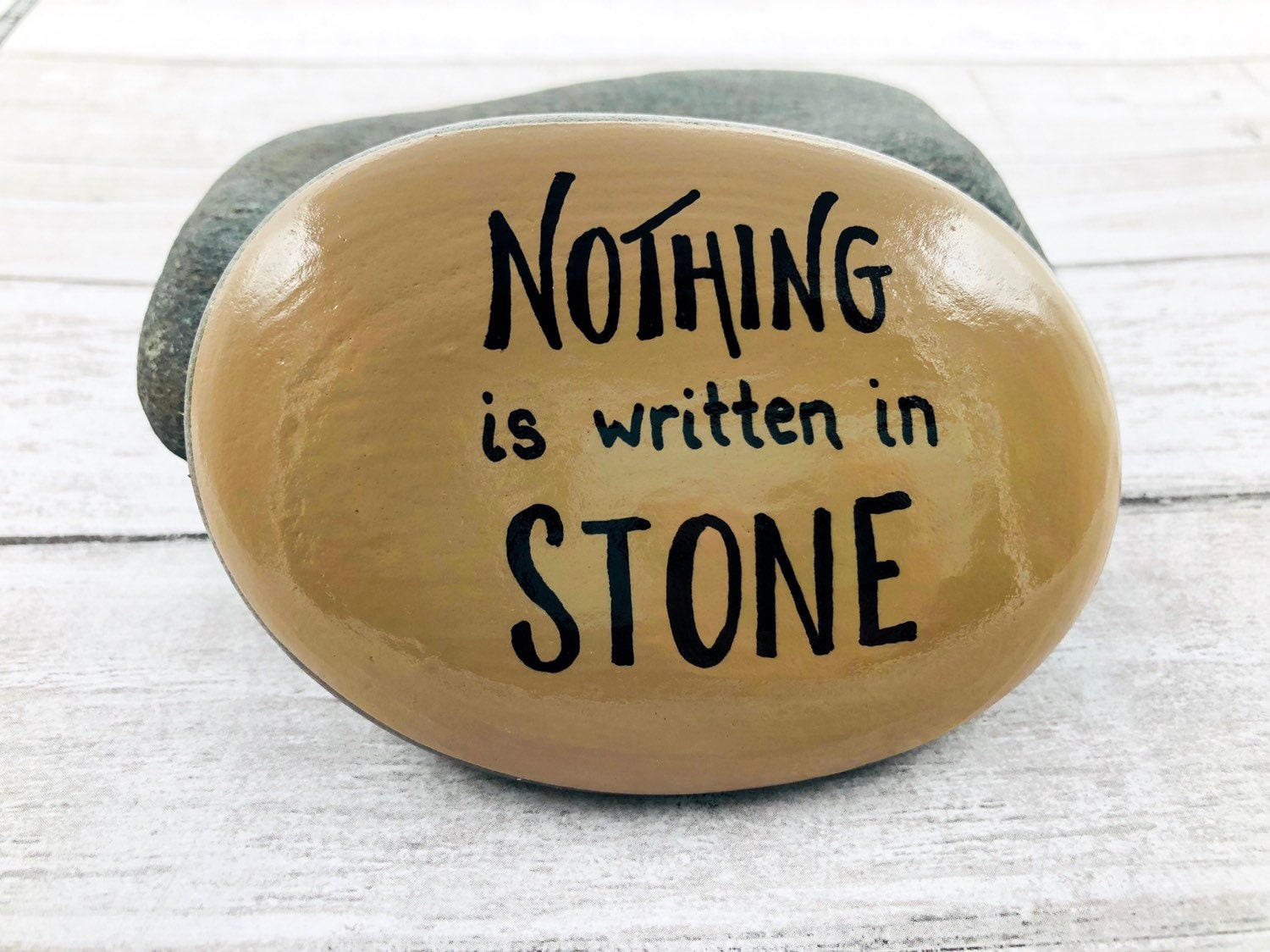 Nothing is Written in Stone Painted Rock Funny Painted Stone Etsy