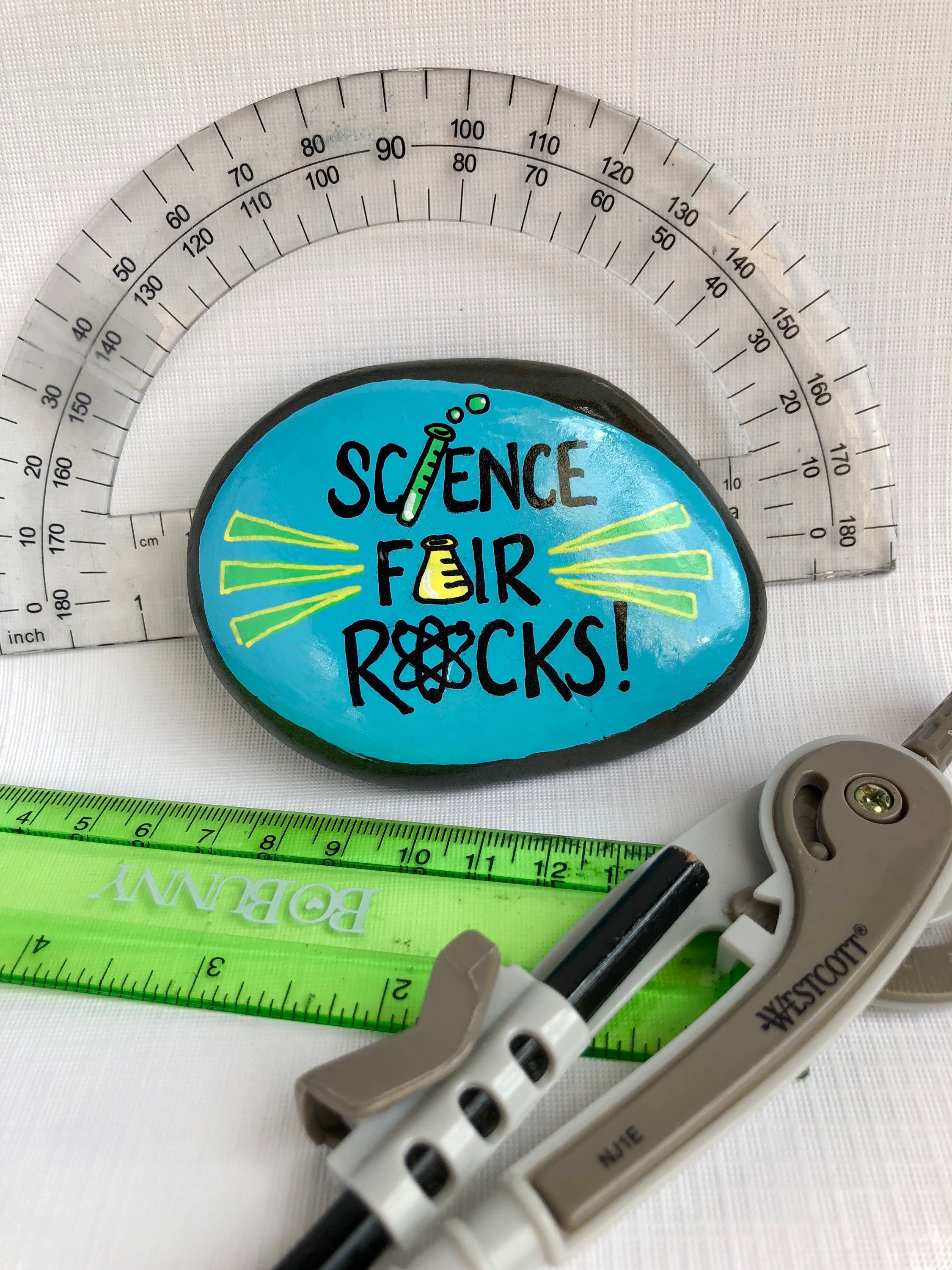 Science Fair Rocks Painted Stone Science Fair Gift for Etsy