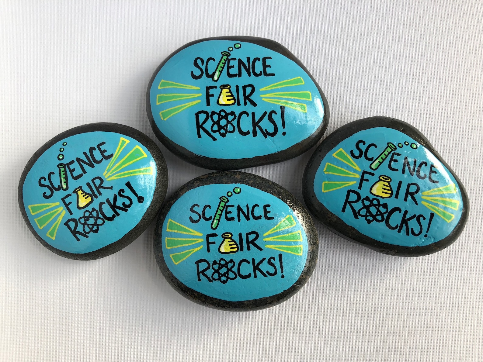 Science Fair Rocks Painted Stone Science Fair Gift for Etsy