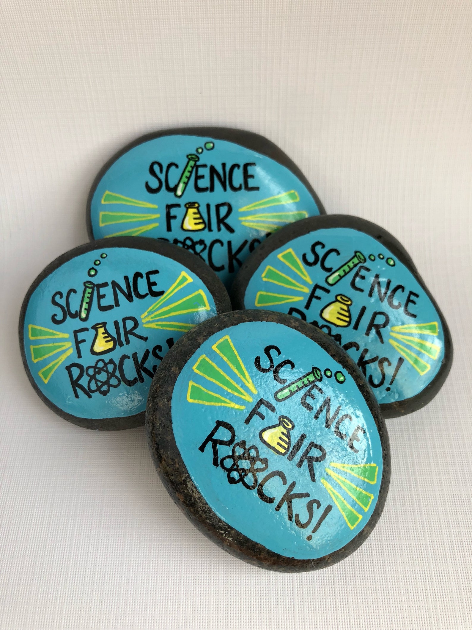 Science Fair Rocks Painted Stone Science Fair Gift for Etsy