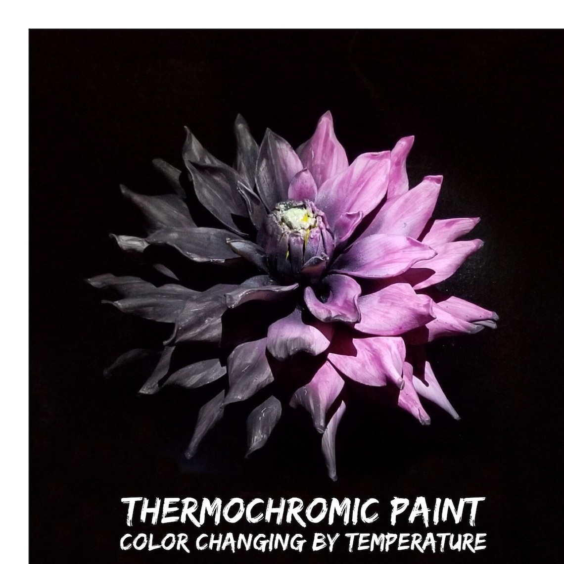 Temperature Activated Color Changing Thermochromic Paint Etsy