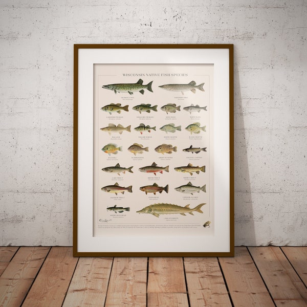 Wisconsin Native Fish Species Poster