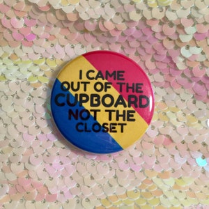Came Out of the Cupboard Pan Pride Button