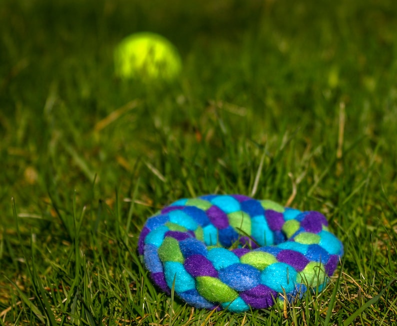 Small Mermaid Inspired Ring Toy For Dogs