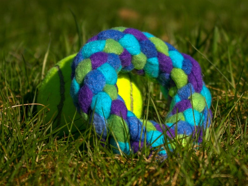Small Mermaid Inspired Ring Toy For Dogs