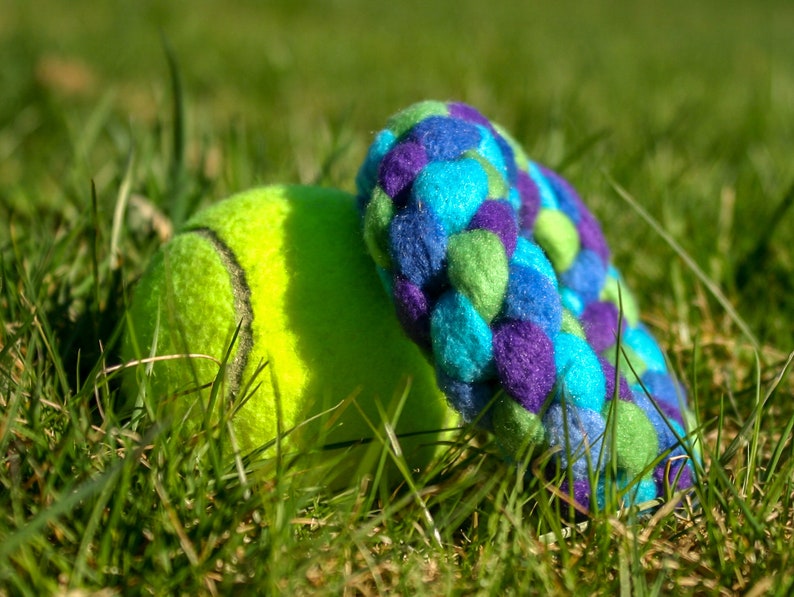 Small Mermaid Inspired Ring Toy For Dogs