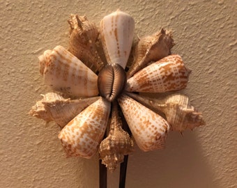 Murex & Conus Perplexus Shell 2 Prong Wooden Hair Pick,Vintage Shell Hair Pick,Up-Do Hair Pick,Decorative Hair Picks,Hand Made In Maui,Shell