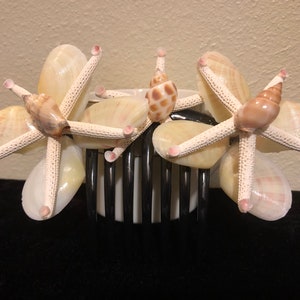 Clam Shell Butterfly Capelli Francese Pettine, Bigiotteria Capelli,Vintage Clam Shell Capelli Pettine, Conchiglie Antiquarie,Mano Fatta Francese Pettine,Up-Do Capelli Pick.Comb