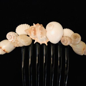 May include: A clear plastic hair comb adorned with various seashells in shades of white, cream, and tan. The shells are of different shapes and sizes, creating a natural, beachy aesthetic. The comb is set against a black background.