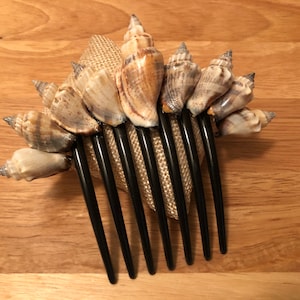 May include: A black hair comb with seashells attached to the teeth. The comb is on a brown wooden surface.