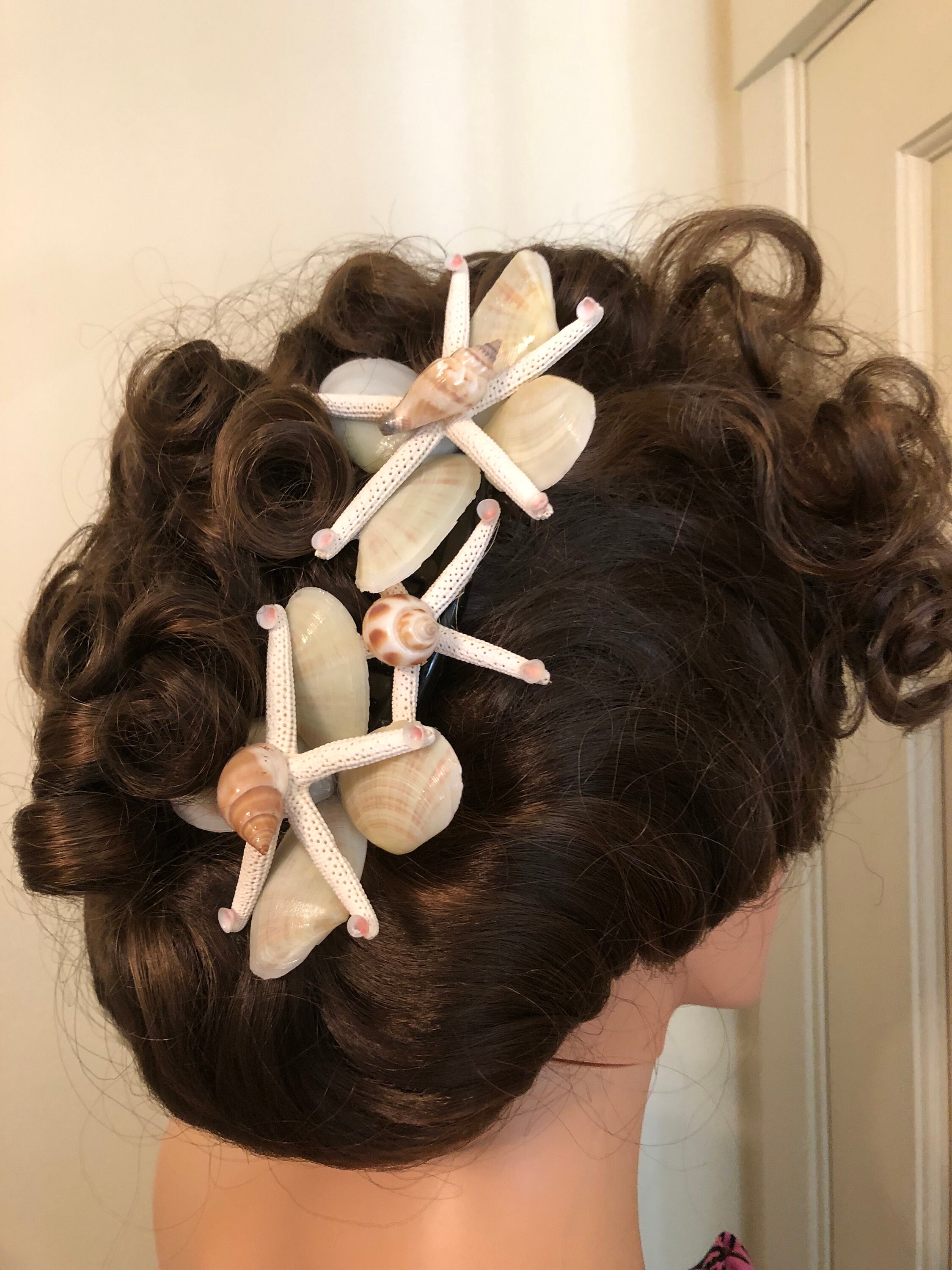 Clam Shell Butterfly French Hair Comb,hair Trinkets,vintage Clam Shell ...