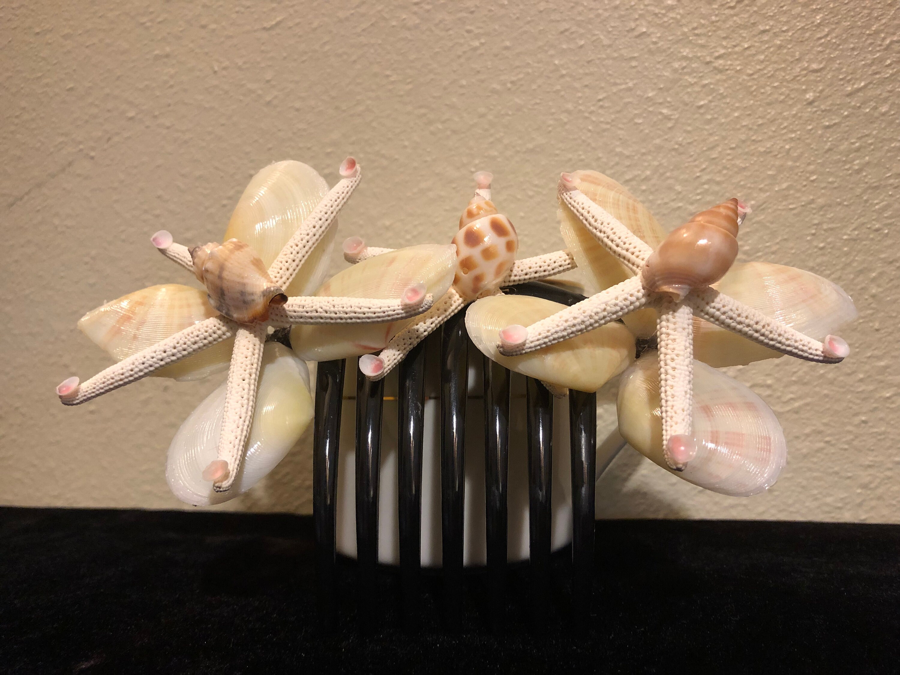 Clam Shell Butterfly French Hair Comb,hair Trinkets,vintage Clam Shell ...