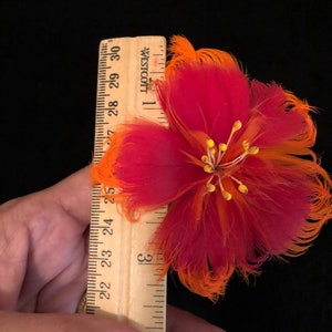 May include: A red and orange feather flower measuring approximately 7.5 cm in diameter. The flower has a yellow centre with small yellow stamens.