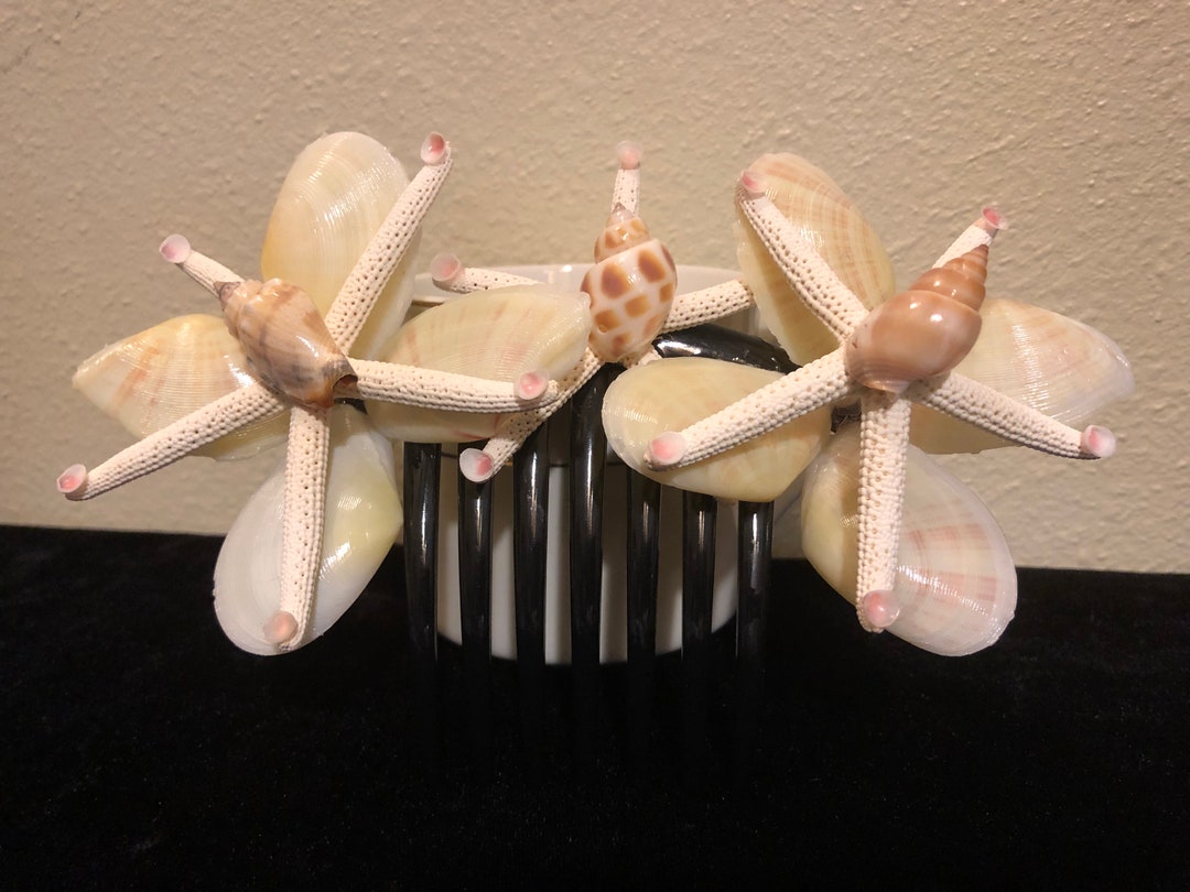 Clam Shell Butterfly French Hair Comb,hair Trinkets,vintage Clam Shell ...