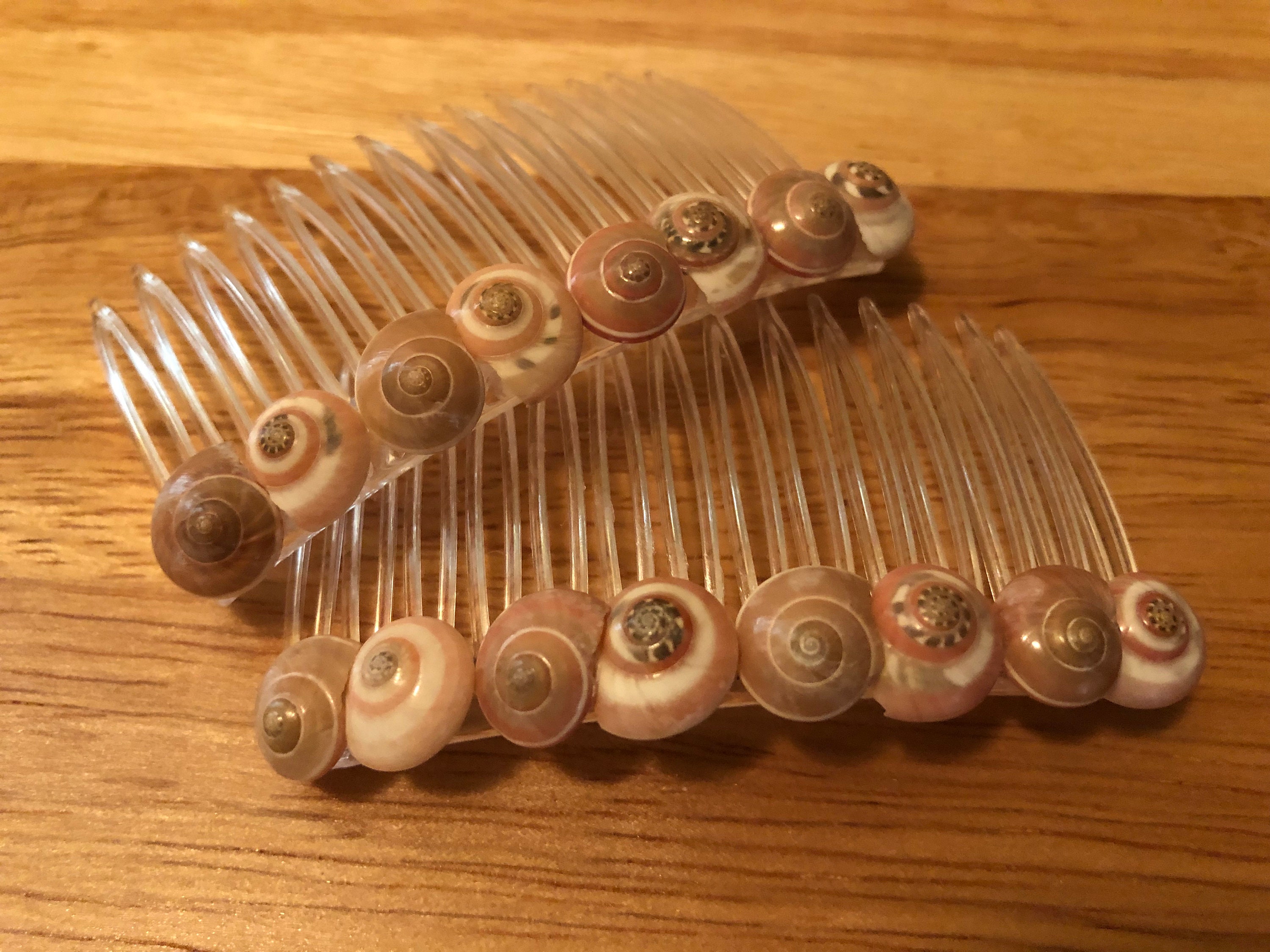 Variety Shell Hair Comb Sets,small Shell Hair Combs,dainty Shell Hair ...