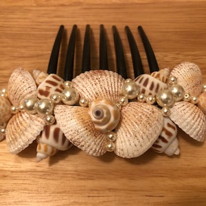 Puede incluir: Un peine para el cabello decorado con conchas marinas y perlas falsas. El peine es negro y las conchas son una mezcla de blanco y marrón.
