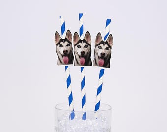 Pajitas personalizadas con cara de perro, decoración para fiesta de cachorros (foto personalizada, aptas para alimentos)
