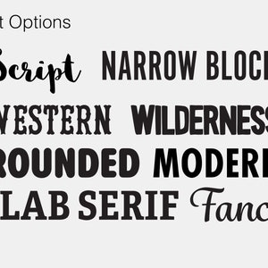 Peut inclure: Un graphique montrant diff&eacute;rentes options de polices pour le texte. Les options incluent Script, Narrow Block, Western, Wilderness, Rounded, Modern, Slab Serif et Fancy.