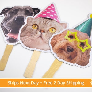 Pet's Face on A Stick, Up to 23", Ships Next Day - Custom Head Cutouts, Bachelorette Party Favors, Birthday Groom Graduation Party Favors
