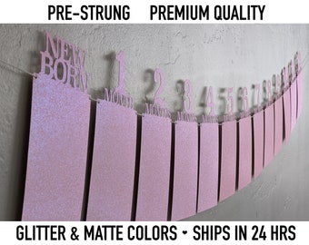 Banner fotográfico de un año, meses numerados, decoraciones para fiestas de cumpleaños y primer año, cartulina mate con purpurina rosa, negra, rosa y dorada para niño y niña