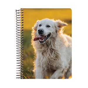 May include: Spiral-bound notebook featuring a Golden Retriever dog. The dog is running with its tongue out, set against a blurred background of golden sunlight and green grass. The notebook's cover has a glossy finish.