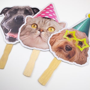 May include: Three cardboard photo booth props featuring animal faces. A grey dog with its tongue sticking out, a grey cat wearing a pink polka dot party hat, and a brown dog wearing yellow star-shaped glasses and a green party hat.
