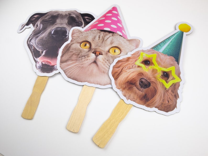 May include: Three cardboard photo booth props featuring animal faces. A grey dog with its tongue sticking out, a grey cat wearing a pink polka dot party hat, and a brown dog wearing yellow star-shaped glasses and a green party hat.