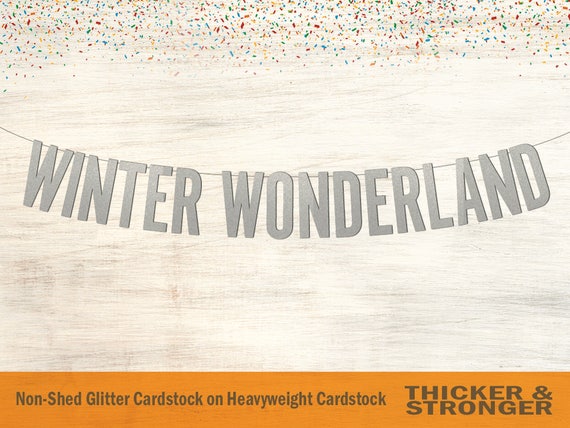 Winter Wonderland Banner, Block Letters Winter Wonderland, Winter Birthday,  First Birthday, Birthday Banner, Frozen Birthday 