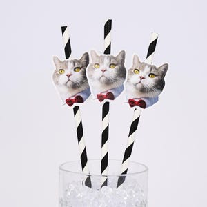 Custom Pet Photo Straws - Personalized Birthday Straws, Party Decorations