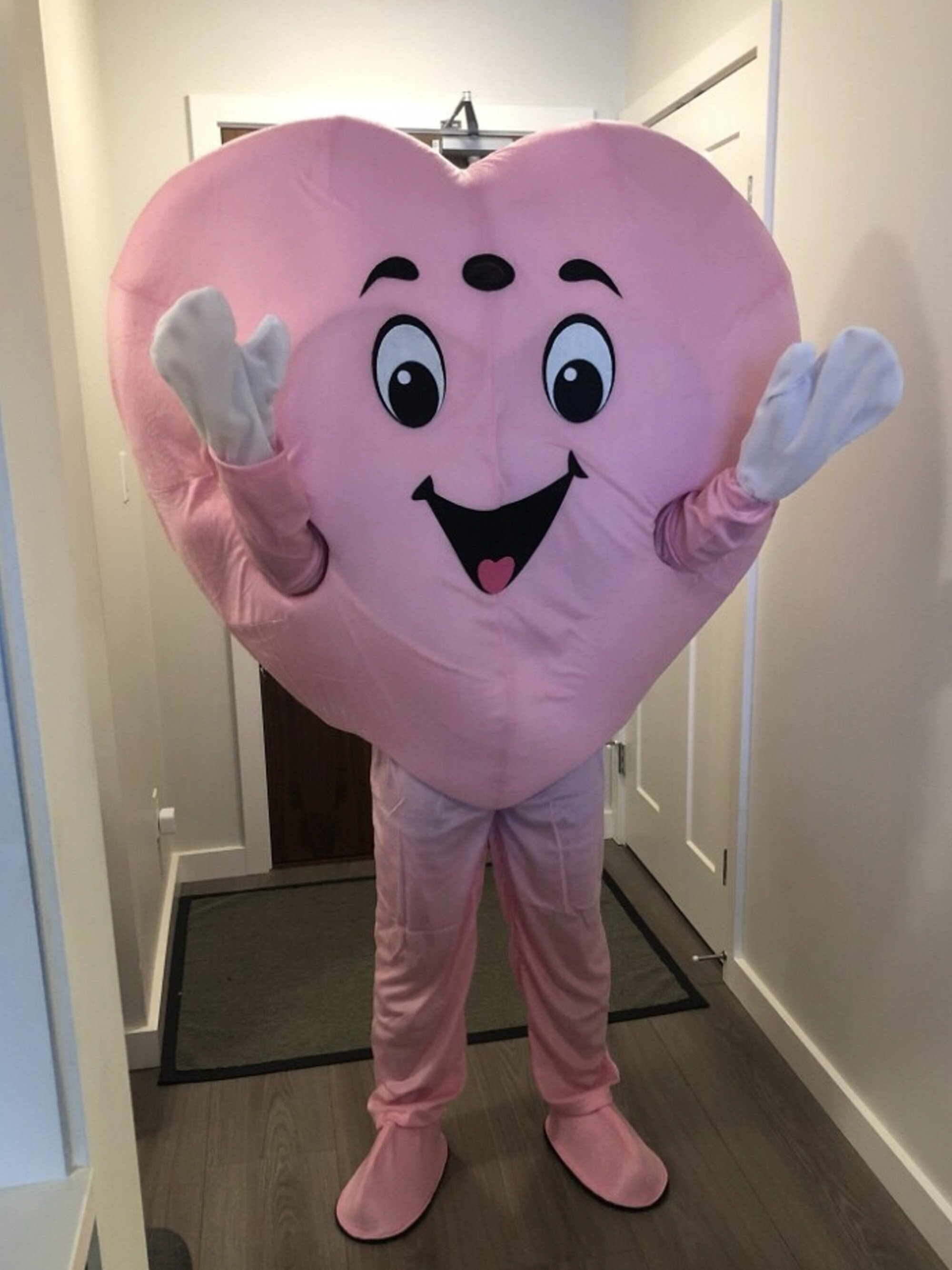 Valentine's Heart Costume Mascot Costume Kids Event Mascot Etsy UK