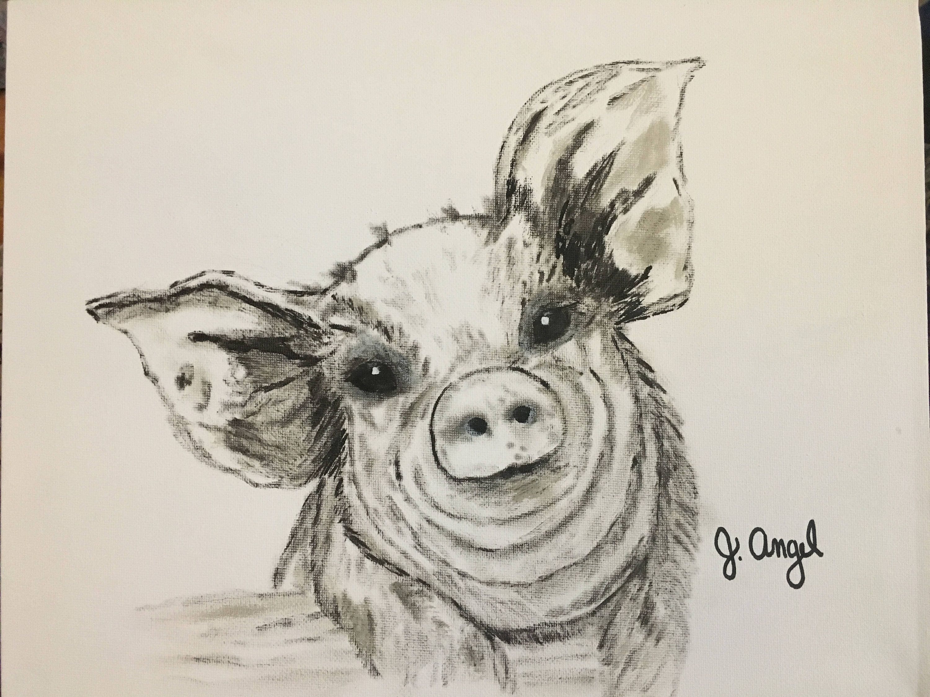 Pig Canvas Painting piggy Etsy