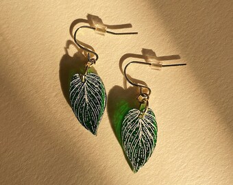 pendientes philodendron birkin