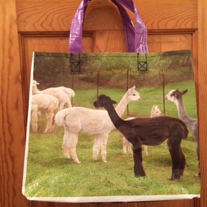 Llama utility shop tote