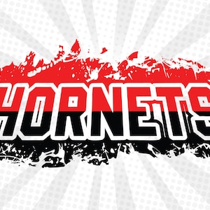 Hornets , Hornets svg , Hornets Logo , Hornets Schnittdatei , Hornets Maskottchen , Hornets T shirt , Hornets High school shirt , Hornets Sport,