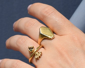 Coffin ring - gold signet ring - genderless ring