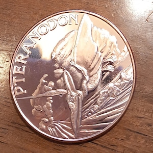 Dinosaur Pteranodon 1 oz fine copper art round 39  mm coin  jurassic