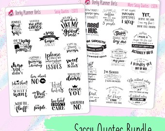 Sassy Quotes Planner Stickers Bundle