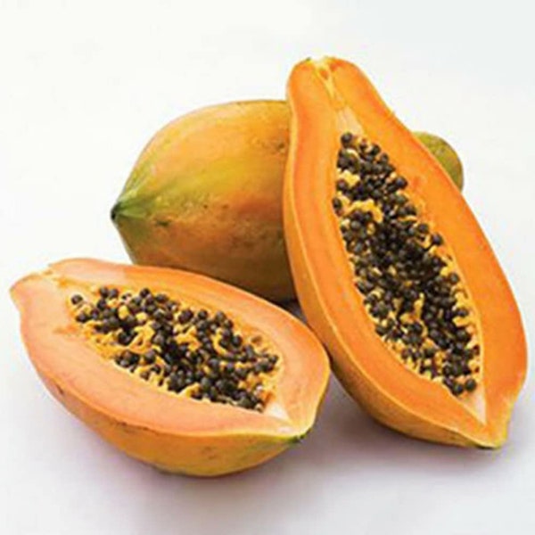 Martinique papaya seeds batch of 25 sweet and tasty papaya seeds.