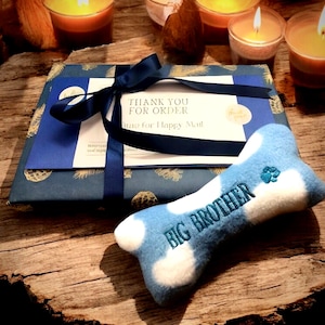 May include: A light blue and white plush dog toy shaped like a bone with the embroidered text BIG BROTHER and a small paw print. Behind it sits a rectangular package wrapped in dark blue paper with gold pinecones, tied with a navy ribbon.