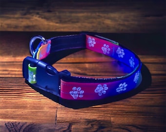 Fashion Dog Collar Rainbow Paws