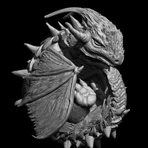 4 Baby-Drachen STL Modelle für klare Resin Eier - 3D druckbare Fantasy Figuren, einzigartige Drachen Embrys für Sammler & Resin Casting