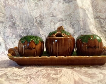 1960 年代のキャプテン ペッパーとオールド ソルティ シェイカー