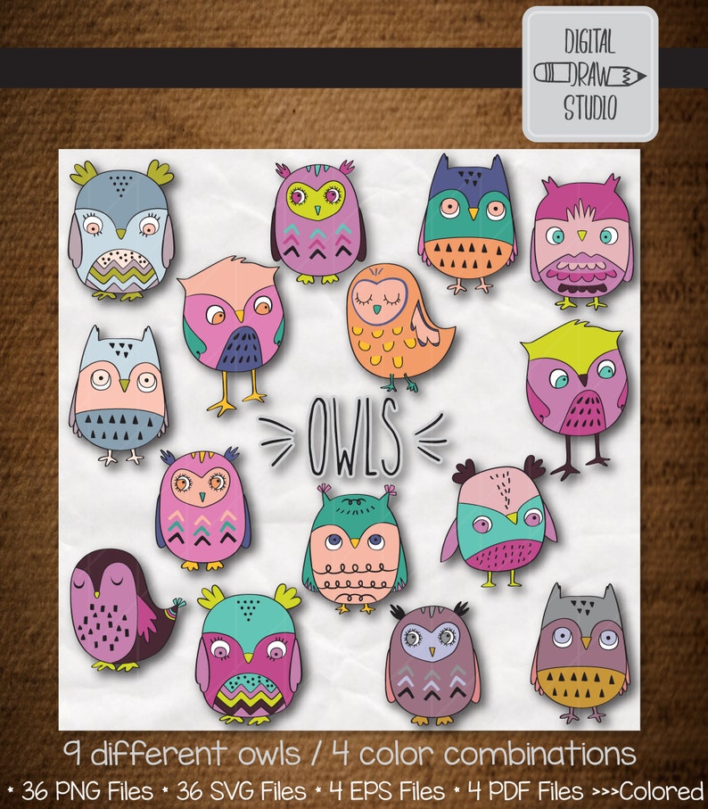 9 Colored Night Owls Clip Art Hand Drawn Birds Vector Etsy