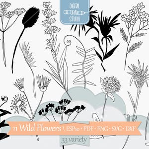 Clipart fleurs sauvages | Plantes de prairie, feuilles et fougères dessinées à la main | Png Eps Pdf Svg Dxf