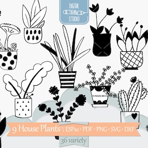 Clipart de plantes d'intérieur | Cactus dessinés à la main dans un pot de fleurs, plantes d'intérieur suspendues, tropicaux, champignons | Png Svg Eps Pdf Dxf